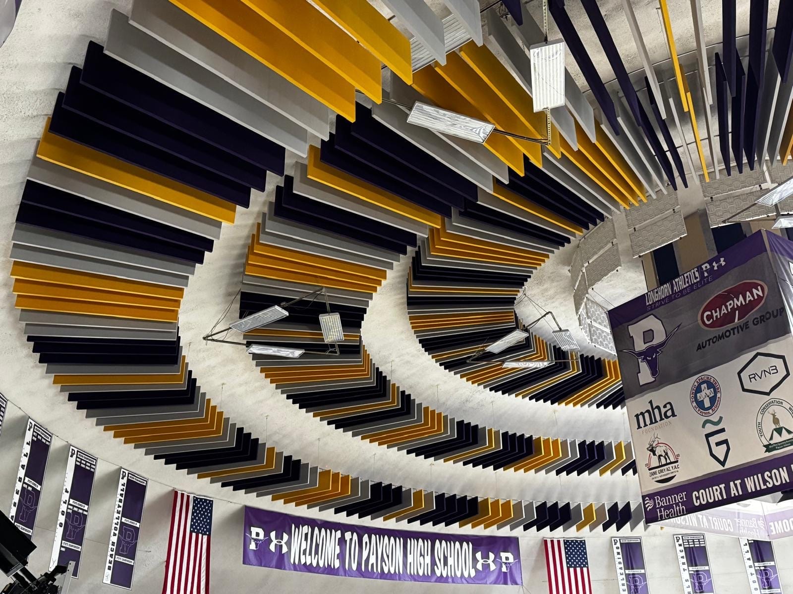 Rows of acoustic baffles suspended across a school gymnasium ceiling
