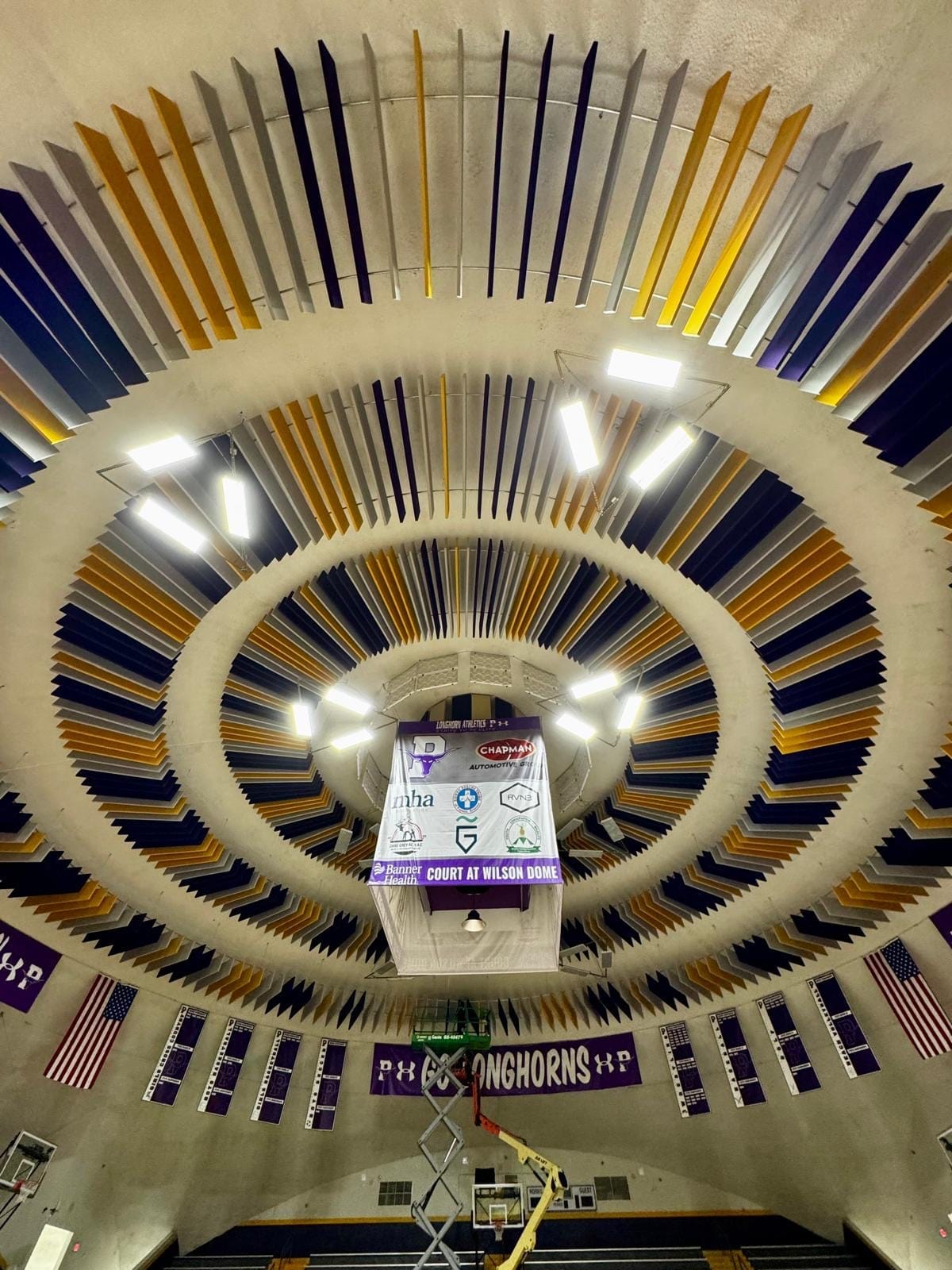 Radial acoustic baffles suspended in a domed school gymnasium
