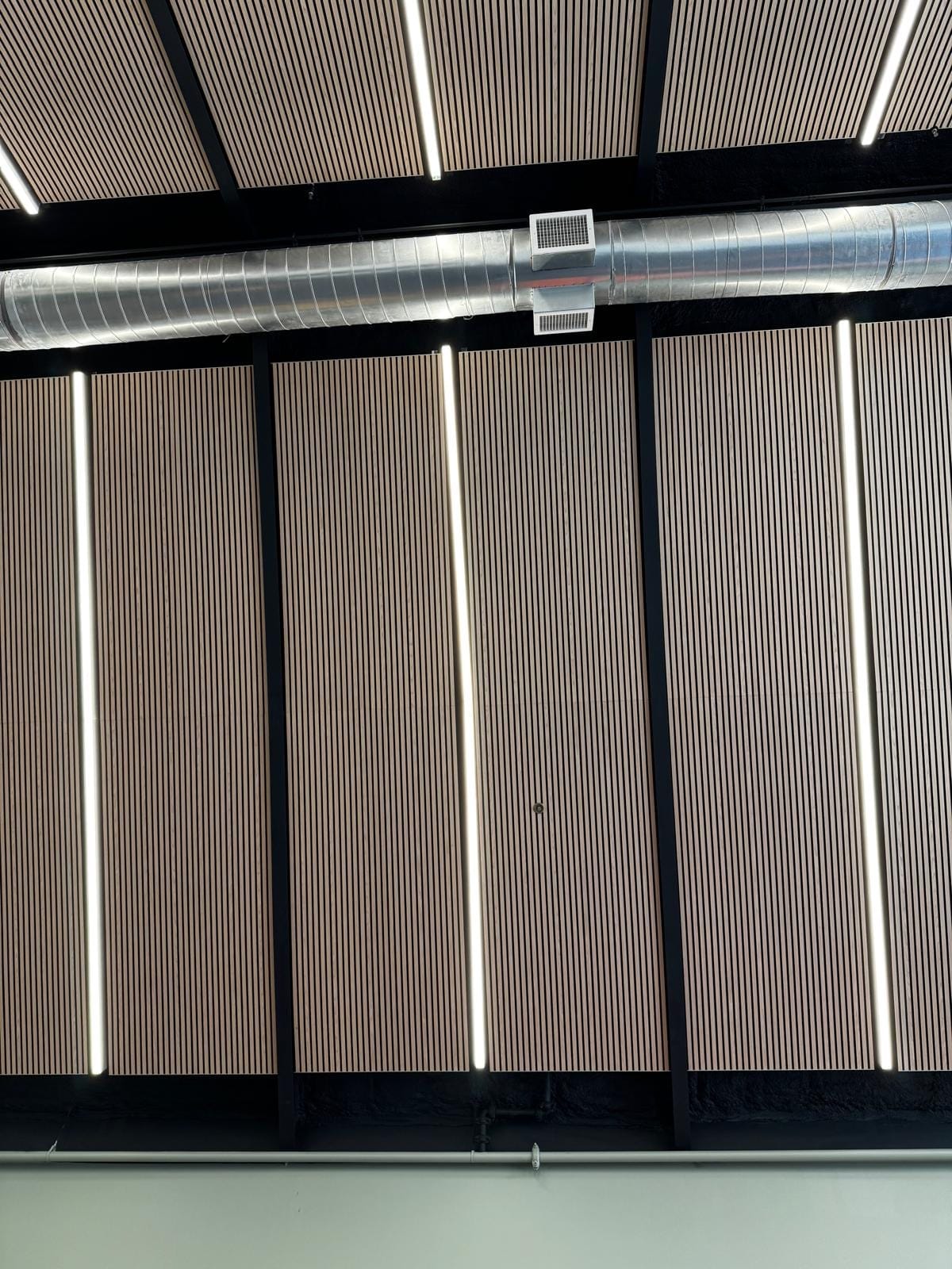 Wood-slat acoustic ceiling panels with linear lighting